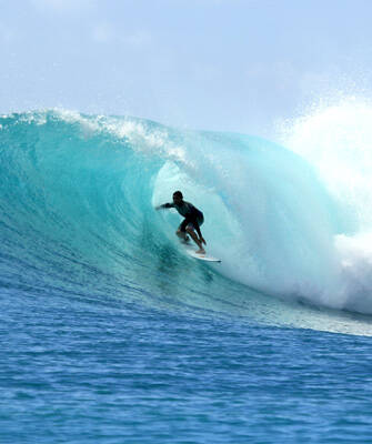 surf